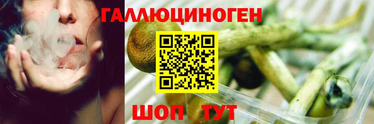 Галлюциногенные грибы GOLDEN TEACHER  Вход с VPN  Кызыл  Псилоцибиновые грибы MAGIC MUSHROOMS 