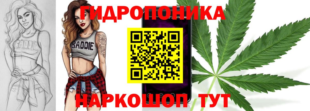 Каннабис Amnesia Кызыл